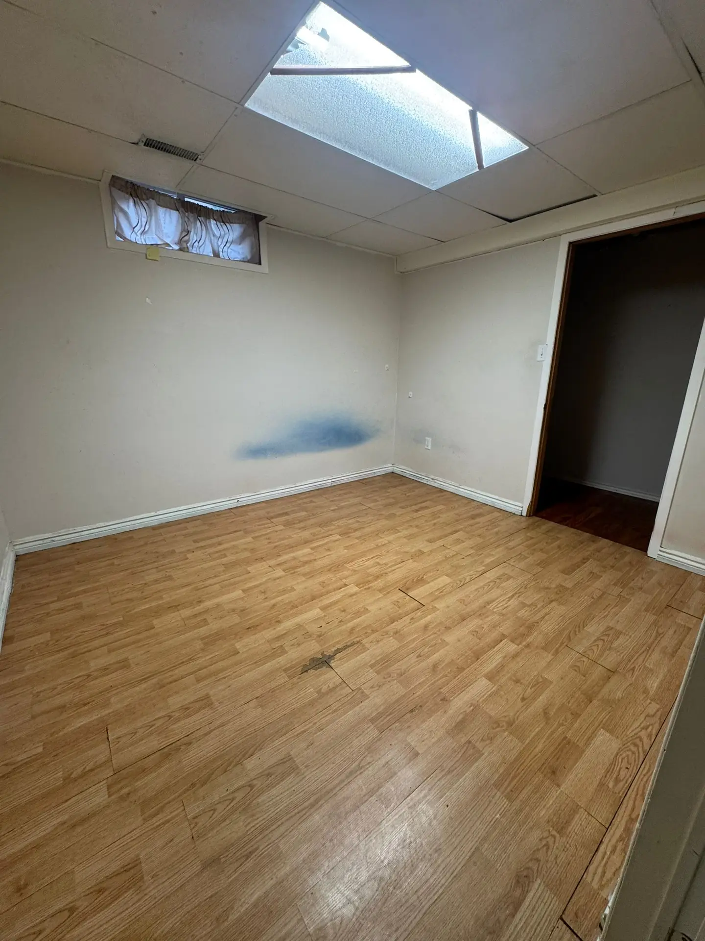 26 McLachlan thumbnail 7