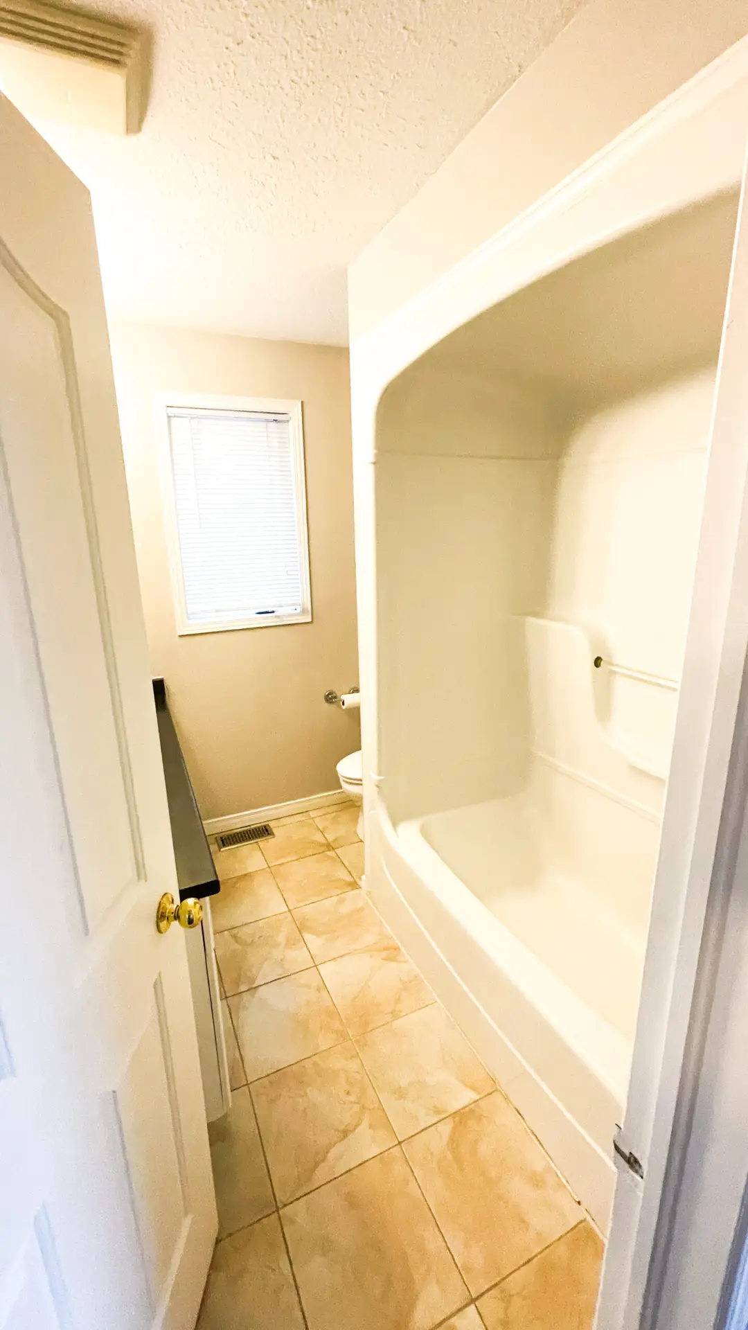 888 Paisley thumbnail 8