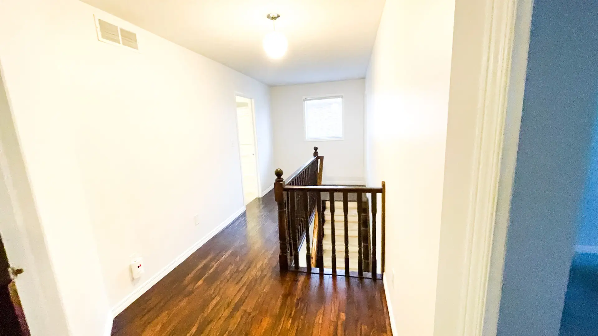 888 Paisley thumbnail 7