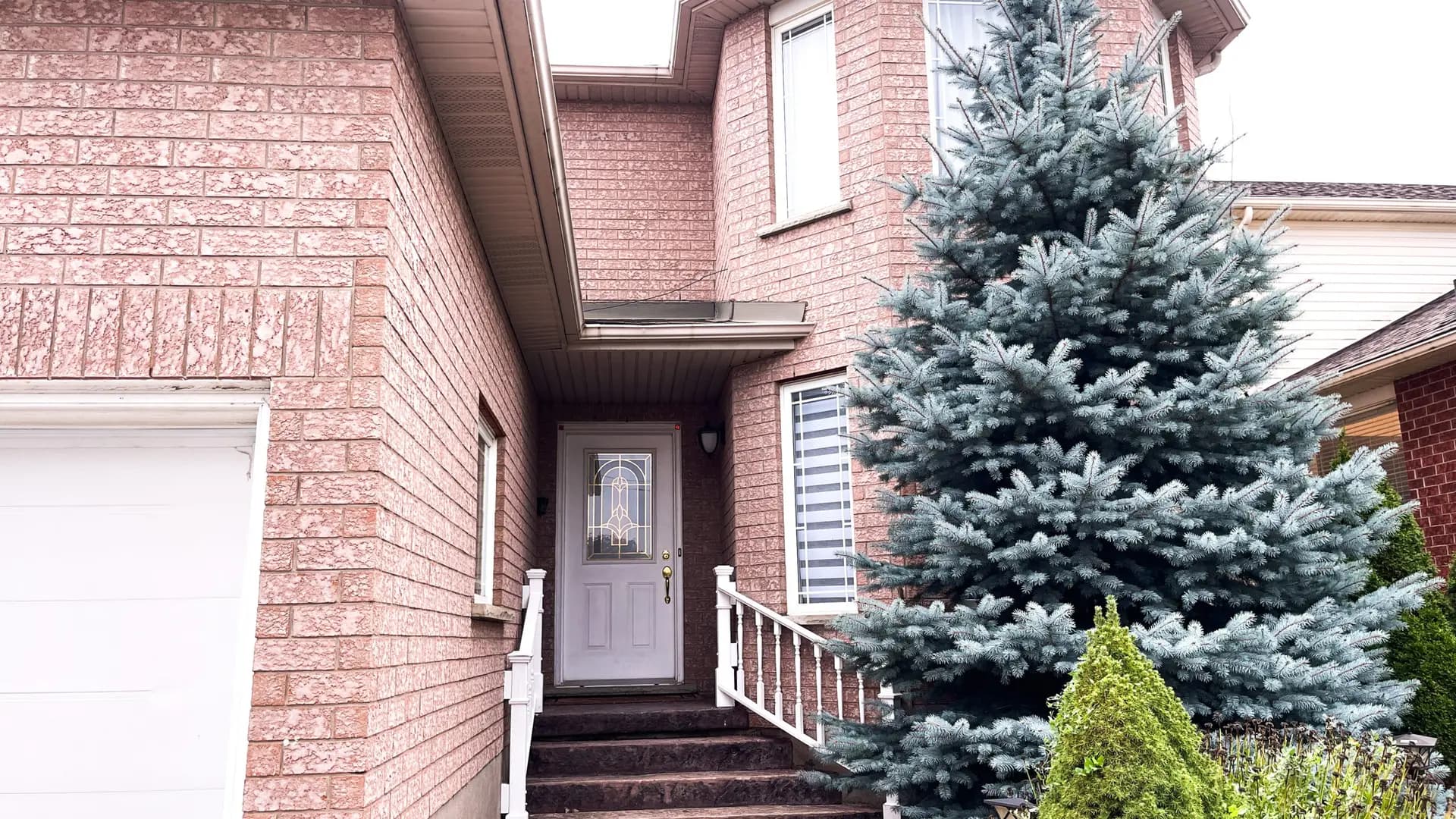 888 Paisley thumbnail 6